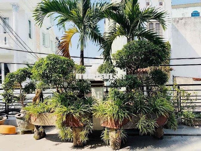 Bán nhà 5.55x18m, 2 lầu, 4pn, hẻm xe hơi thông, Trường Chinh, Q12