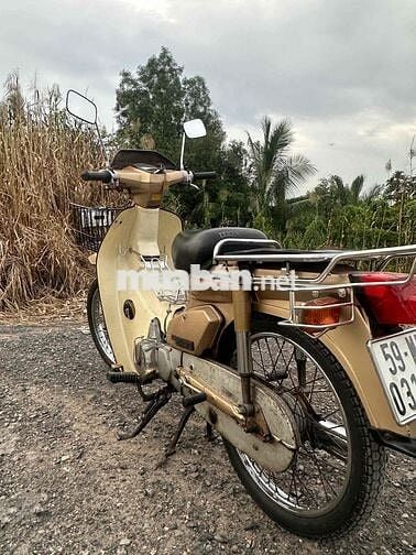 cub 84 nguyên zin mộc