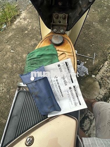 cub 84 nguyên zin mộc