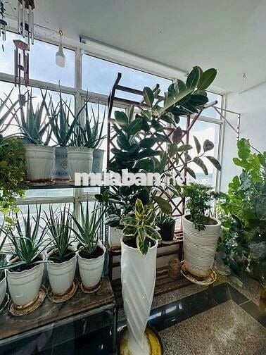 BÁN CĂN HỘ TÂY NGUYÊN PLAZA TẦNG CAO FULL NỘI THẤT GIÁ 1.5 TỶ