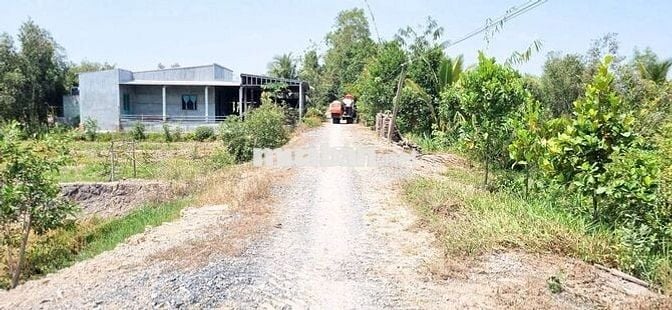 Bán đất sổ đỏ 2025,Full thổ:1000m2, đường Sa Bà, Hòa Khánh Nam,Đức Hòa