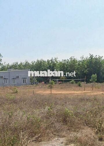1.150tr Bán gấp 2 lô đất mặt tiền Hắc Dịch, Phú Mỹ BRVT cũ