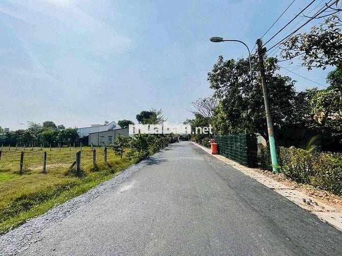🌳 CƠ HỘI SỞ HỮU LÔ ĐẤT ĐẸP TẠI XÃ TÂN AN HỘI – CỦ CHI 🌳