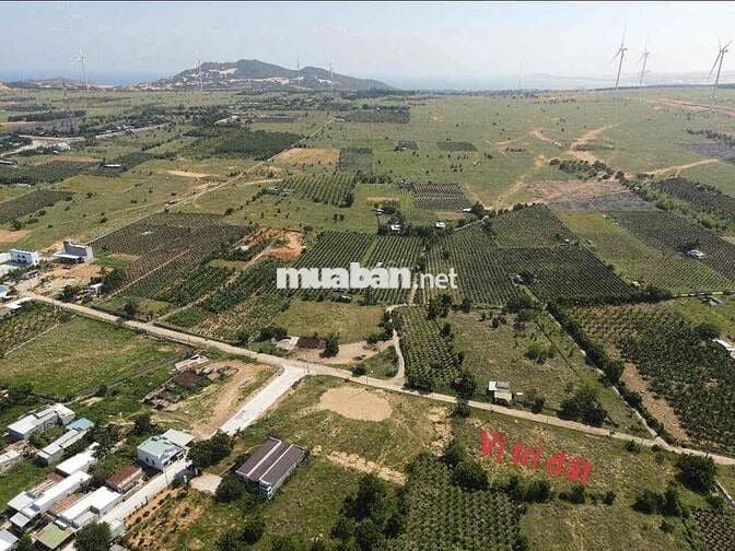 Bán đất Mặt tiền đường View Bàu Trắng