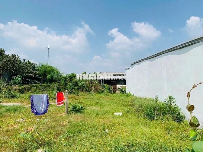 CÔ NĂM VỀ QUÊ VỚI GIA ĐÌNH, GỬI BÁN LÔ ĐẤT 174M2 MT LÊ THỊ NGHIÊN, SHR