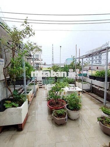 Nhà 4 Tầng Mặt Tiền Trần Thị Năm, Quận 12, 100m2, 10Tỷ9