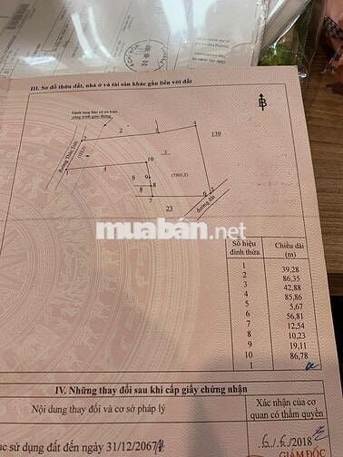 Bán đất CLN 7.800m2, 39m mặt tiền đường Thác Trời, xã Xuân Bắc
