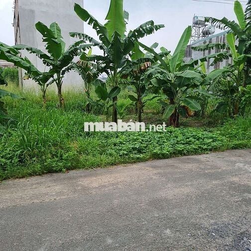 AN VIỄN TRẢNG BOM, 100M2 FULL THỔ CƯ GẦN KCN GIANG ĐIỀN