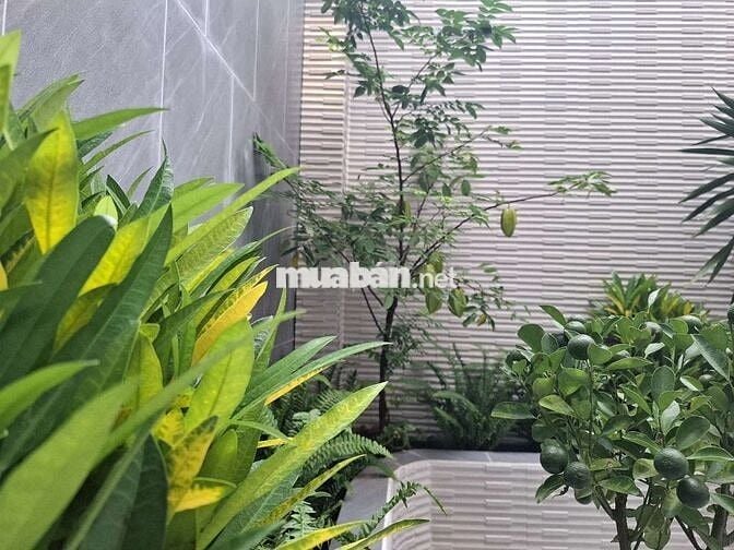 BÁN NHÀ MỚI ĐẸP – CÓ THANG MÁY – PHÒNG XÔNG KHÔ – SỔ HỒNG RIÊNG TLQ12