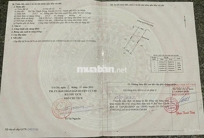 XEM NGAY! 780 TRIỆU CHO LÔ ĐẤT HƠN 215M2 ĐƯỜNG NGUYỄN KIM CƯƠNG, SHR
