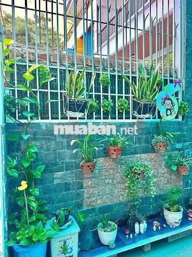 🏡 Cho thuê nhà ở khu vực vô cùng đẹp ( Beautiful house for rent)