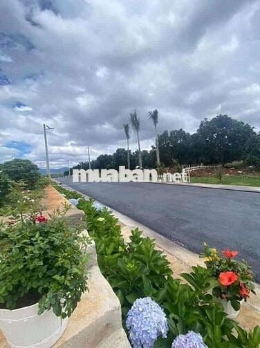 Chủ kẹt tiền gửi bán lô đất đẹp tại Mê Linh cách Đà Lạt chỉ 10km