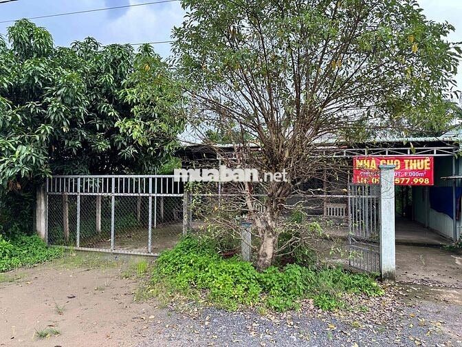 🏠 CHO THUÊ NHÀ CẤP 4 MẶT TIỀN DT830 – CẦN GIUỘC, LONG AN