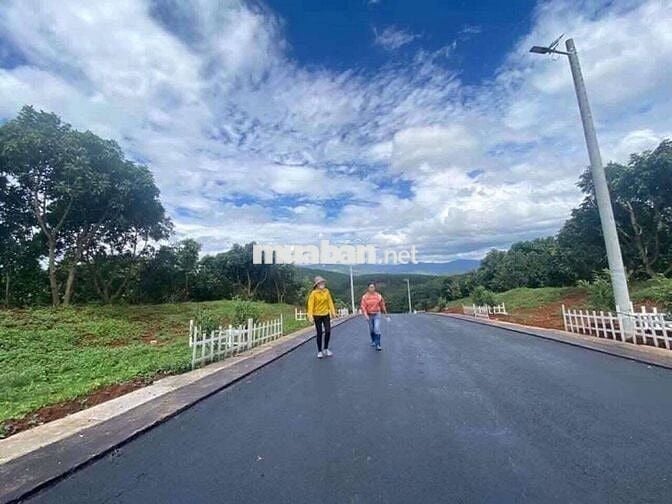Chủ kẹt tiền gửi bán lô đất đẹp tại Mê Linh cách Đà Lạt chỉ 10km