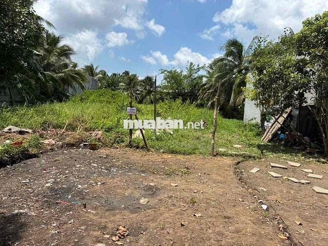 BÁN 1.059,8M ĐẤT MẶT TIỀN ĐƯỜNG DAL, XÃ LONG HỒ, TỈNH VĨNH LONG