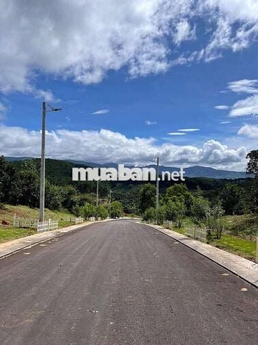 Chủ kẹt tiền gửi bán lô đất đẹp tại Mê Linh cách Đà Lạt chỉ 10km