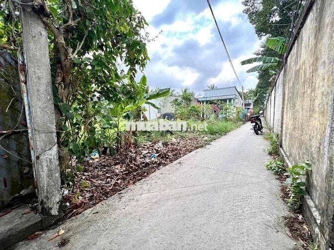 BÁN 1.059,8M ĐẤT MẶT TIỀN ĐƯỜNG DAL, XÃ LONG HỒ, TỈNH VĨNH LONG