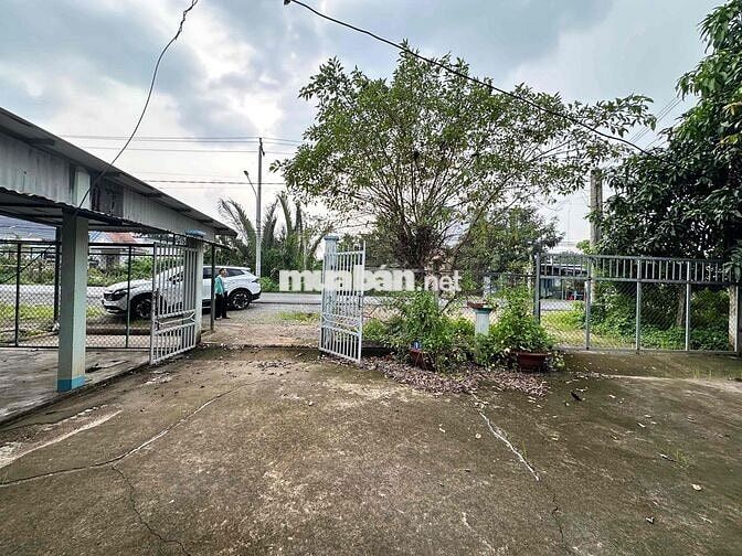 🏠 CHO THUÊ NHÀ CẤP 4 MẶT TIỀN DT830 – CẦN GIUỘC, LONG AN