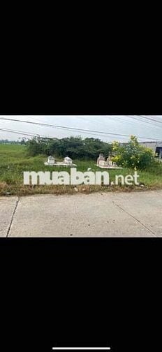 Đất Vườn Mặt Tiền Lê Minh Xuân 1000m2= 1,7tỷ