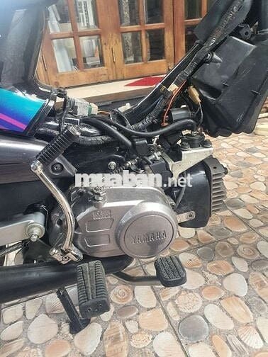 Yass110 màu xanh nhớt HQCN 96, BSTP Thủ Đức xe đẹp