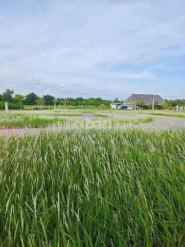 bán đất dự án saigon Riverpark, đường trương văn bang, cần giuộc