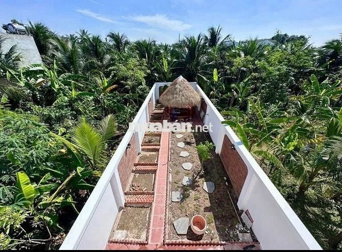 Nhà Sân Vườn 5m x 41m đường ô tô cách Trần Văn Hiển 50m