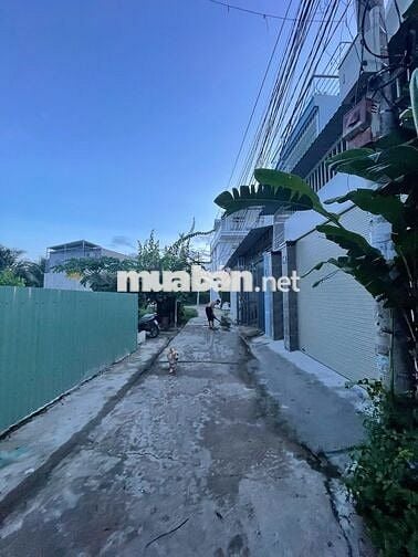 Sở hữu ngay lô đất đẹp giữa lòng Vĩnh Ngọc, Giá chỉ hơn 1 tỷ