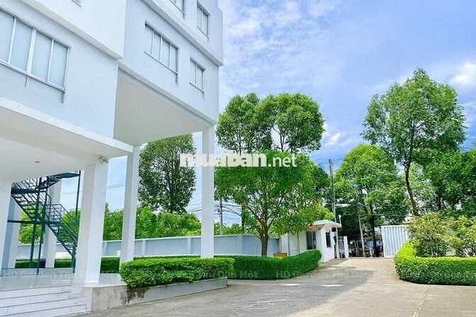 Căn hộ Dịch vụ Tiện Nghi 66m2 2PN tại Trung tâm Thủ Dầu Một