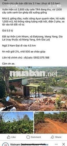 Cần bán rẫy cafe 3.5ha tại Linh Nham,xã Đakdjrang, Mang Yang,Gia Lai