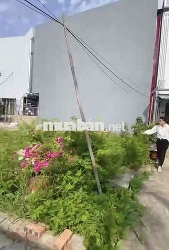 Đất 42m2 lô góc TDP Bạch Mai, Đồng Thái giá chỉ 1,28 tỷ