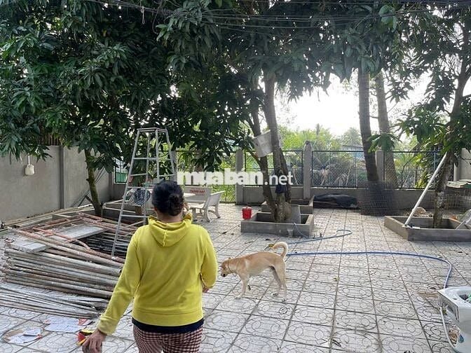 Cho thuê kho 400 mét vuông ngay quốc lộ 1A trạm thu phí cầu cần Thơ
