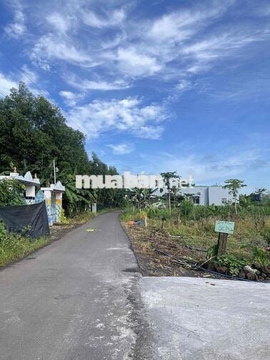 ĐẤT GIA ĐÌNH THỔ CƯ ĐƯỜNG SÔNG TRẦU 19 Trảng Bom