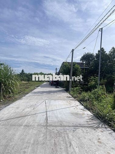 ĐẤT GIA ĐÌNH THỔ CƯ ĐƯỜNG SÔNG TRẦU 19 Trảng Bom