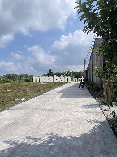 ĐẤT GIA ĐÌNH THỔ CƯ ĐƯỜNG SÔNG TRẦU 19 Trảng Bom