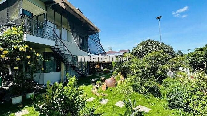 HOMESTAY VIEW NÚI SẴN THỔ CƯ BẢO LỘC DT 619M2 ĐẦY ĐỦ TIỆN ÍCH GIÁ TỐT