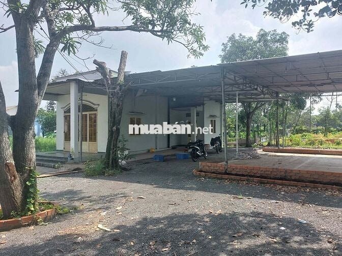 Cho thuê đất, chính chủ, vị trí đẹp, giá cực rẻ, DT 2000m2, có nhà ở.