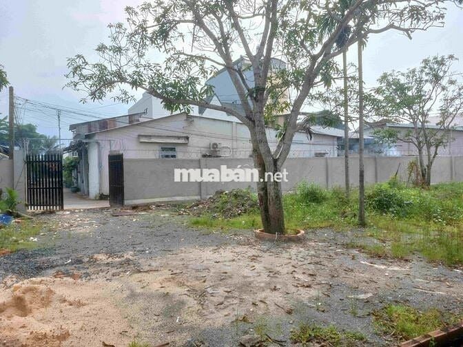 Cho thuê đất, chính chủ, vị trí đẹp, giá cực rẻ, DT 2000m2, có nhà ở.