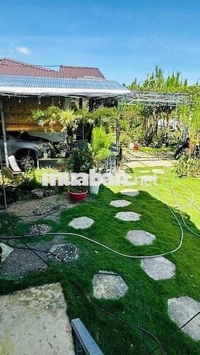 HOMESTAY VIEW NÚI SẴN THỔ CƯ BẢO LỘC DT 619M2 ĐẦY ĐỦ TIỆN ÍCH GIÁ TỐT