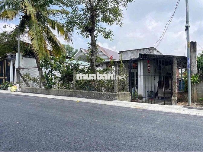 Bán đất tặng nhà cũ mặt tiền Dx 74 Định Hoà TDM cũ( Chánh Hiệp)10x39