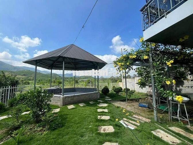 HOMESTAY VIEW NÚI SẴN THỔ CƯ BẢO LỘC DT 619M2 ĐẦY ĐỦ TIỆN ÍCH GIÁ TỐT
