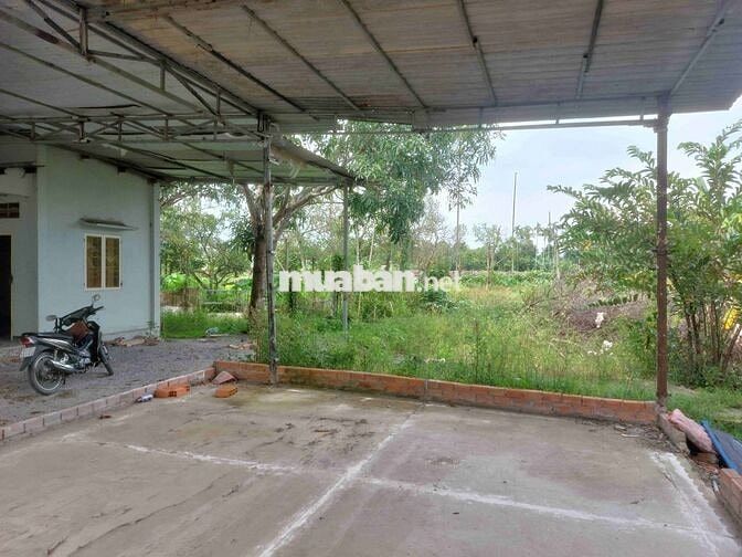 Cho thuê đất, chính chủ, vị trí đẹp, giá cực rẻ, DT 2000m2, có nhà ở.