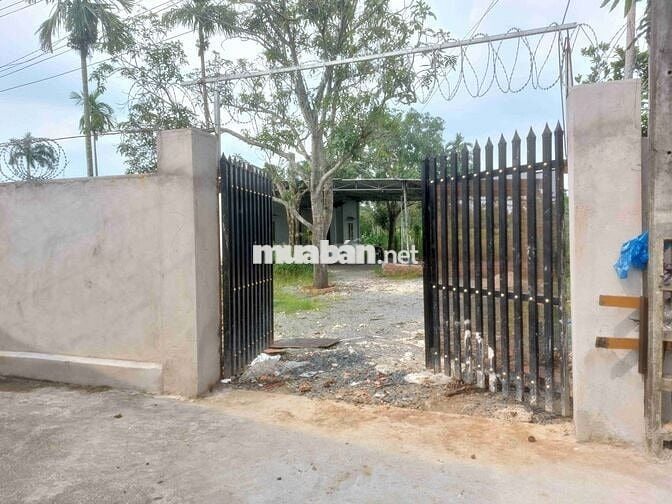 Cho thuê đất, chính chủ, vị trí đẹp, giá cực rẻ, DT 2000m2, có nhà ở.