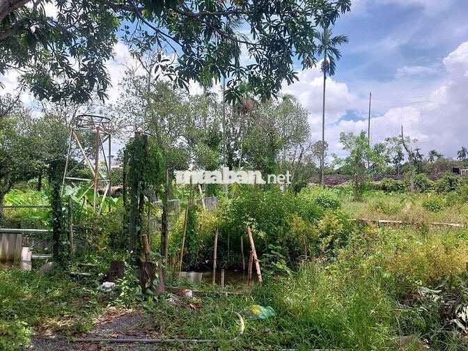 Cho thuê đất, chính chủ, vị trí đẹp, giá cực rẻ, DT 2000m2, có nhà ở.