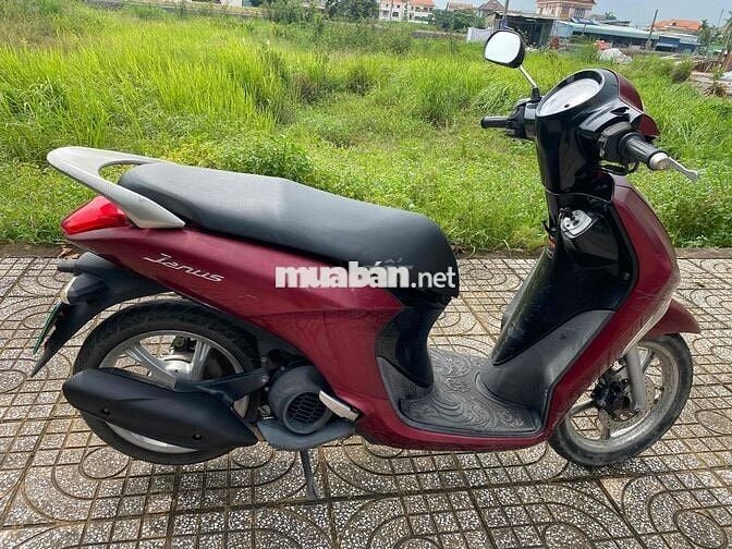 Janus 2017 giấy tờ đầy đủ
