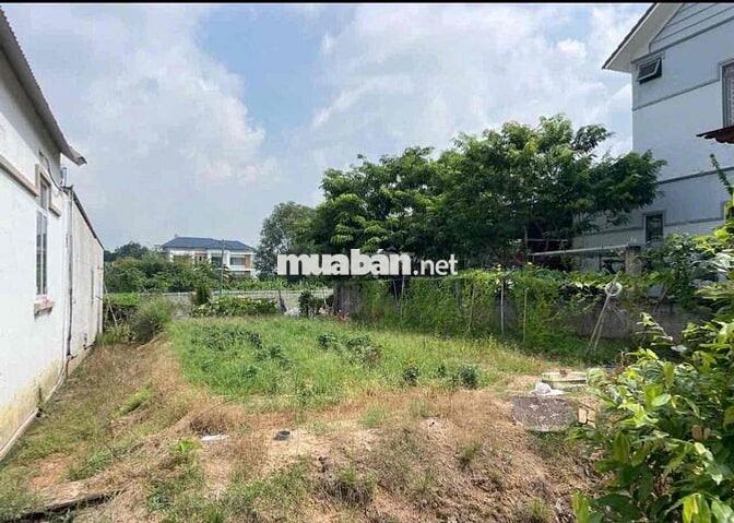 Bán đất tặng nhà cũ mặt tiền Dx 74 Định Hoà TDM cũ( Chánh Hiệp)10x39