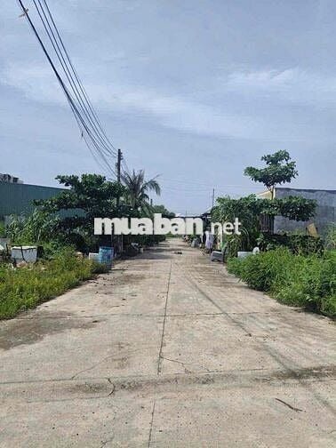 Đất Tân Định khu 4 đường 5m thông thực tế lô góc.6x21 full thổ.
