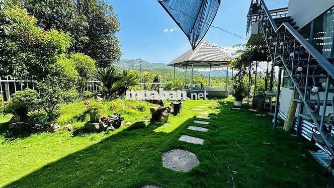 HOMESTAY VIEW NÚI SẴN THỔ CƯ BẢO LỘC DT 619M2 ĐẦY ĐỦ TIỆN ÍCH GIÁ TỐT