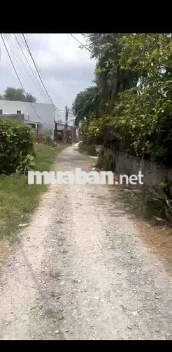 CG BÁN ĐẤT 317M2FULLTHỔ GIÁ 2,7TỶ TL NGANG 9,5 ĐỨC HÒA ĐÔNG,ĐỨC HÒA,LA