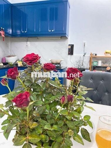 NHÀ DÒNG TIỀN TỐT - TÂN CHÁNH HIỆP QUẬN 12