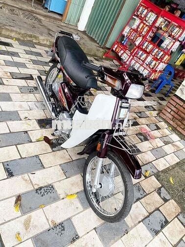 honda dream thái